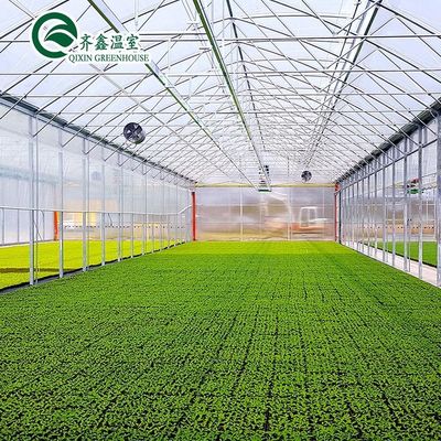 Serre à feuille de polycarbonate commerciale à longue portée à une seule couche pour l'agriculture
