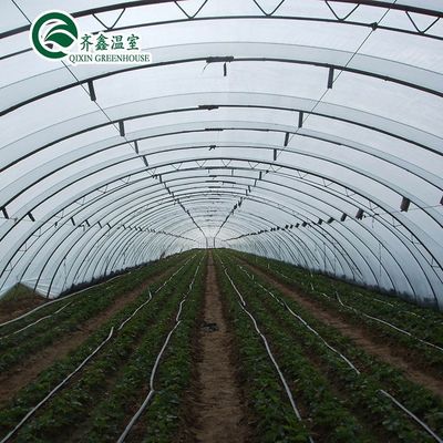 Serre à feuille de polycarbonate commerciale à longue portée à une seule couche pour l'agriculture