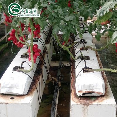 PO Tour Jardin pour les légumes Fruits Fleurs Serre agricole économique