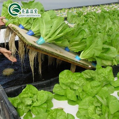 PO Tour Jardin pour les légumes Fruits Fleurs Serre agricole économique