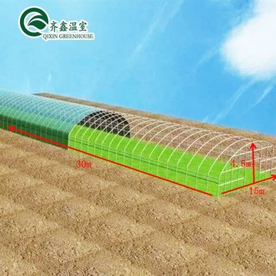 Serre recouverte de film Tour jardin/Aduaponics pour des solutions agricoles durables