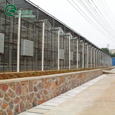 Serres agricoles multifonctions revêtant le dessus avec du verre trempé ou de la feuille PC