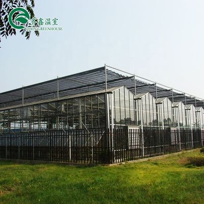 Serres agricoles multifonctions revêtant le dessus avec du verre trempé ou de la feuille PC