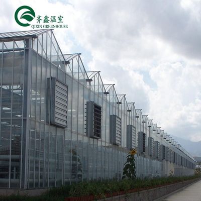 Serres agricoles multifonctions revêtant le dessus avec du verre trempé ou de la feuille PC