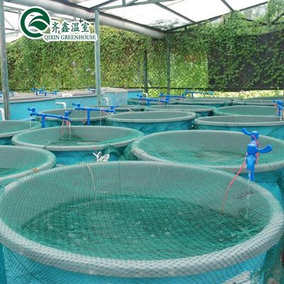 Serre agricole à prix abordable pour jardin à tour à couche unique pour l'aduaponie