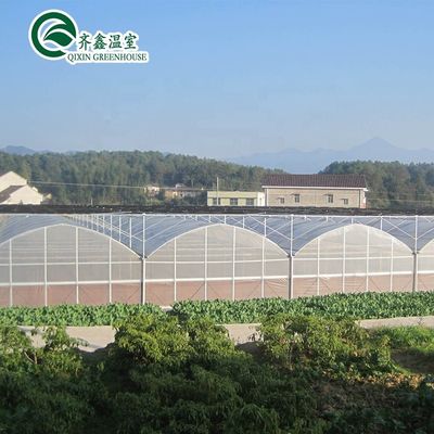Serres agricoles multifonctionnelles Hydroponiques Tour aéroponique Jardin pour film Serre