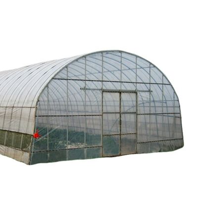 Serres agricoles à une seule étendue avec film de couverture