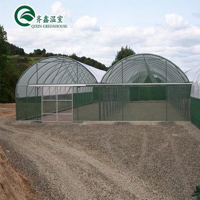 Serres agricoles à une seule étendue avec film de couverture