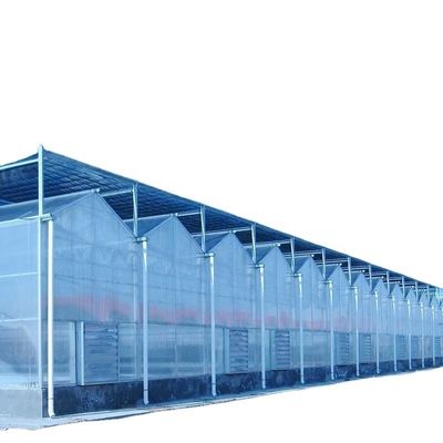 3Serre solaire en verre de hauteur de crête de 0,8 m à 9,8 m pour les besoins du client