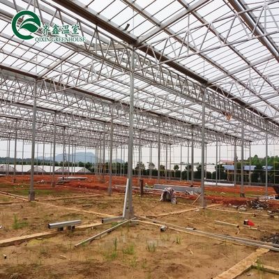 Serre en polythène tunnel transparent pour la culture de légumes