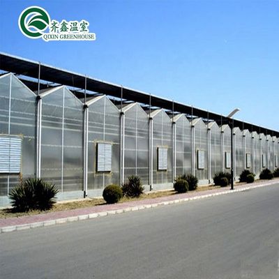 Serre en polythène tunnel transparent pour la culture de légumes