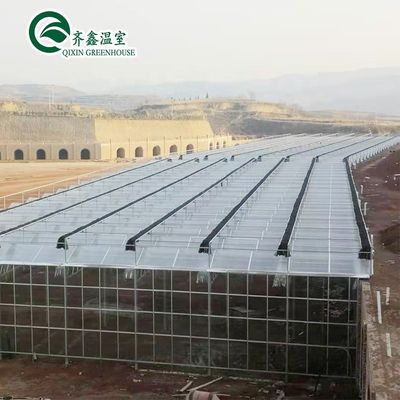 Serre en polythène tunnel transparent pour la culture de légumes