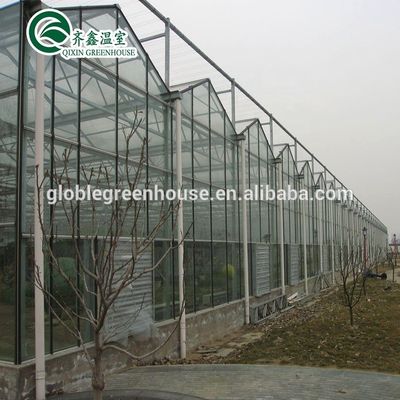 Verres Fruits Fleurs Tomates Serre avec système d'ombrage intérieur et extérieur