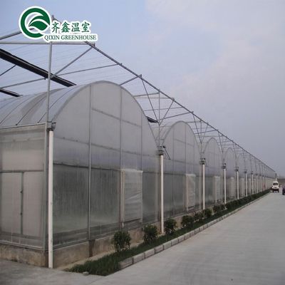 Matériau de couverture de la feuille PC Serre agricole multifonctionnelle pour la culture des légumes