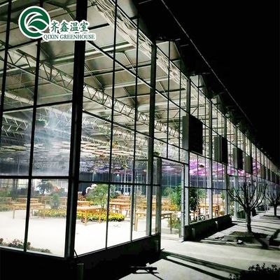 Structure en acier galvanisé Serre en verre Venlo pour la culture de légumes Fruits Fleurs