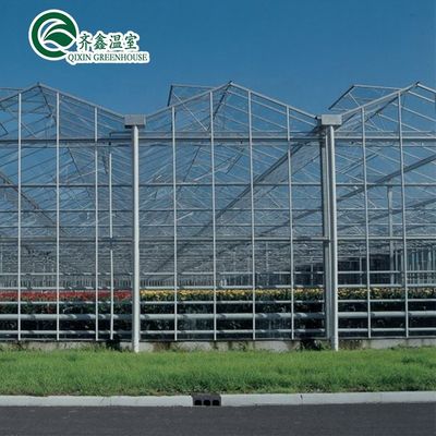 Structure en acier galvanisé Serre en verre Venlo pour la culture de légumes Fruits Fleurs