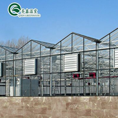 Structure en acier galvanisé Serre en verre Venlo pour la culture de légumes Fruits Fleurs