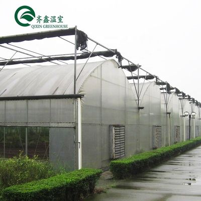 Matériau de couverture de la feuille PC Serre agricole multifonctionnelle pour la culture des légumes