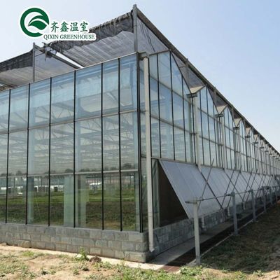 Structure en acier galvanisé Serre en verre Venlo pour la culture de légumes Fruits Fleurs