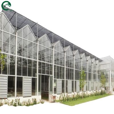 Une bonne perméabilité à la lumière est essentielle pour les serres en verre de Venlo dans l'industrie agricole