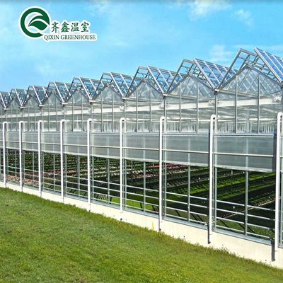 Une bonne perméabilité à la lumière est essentielle pour les serres en verre de Venlo dans l'industrie agricole