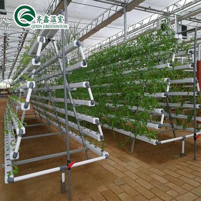 Augmentation de la récolte de pommes de terre Grands tuyaux en plastique Serres agricoles multifonctions