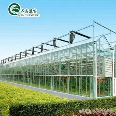 Une bonne perméabilité à la lumière est essentielle pour les serres en verre de Venlo dans l'industrie agricole