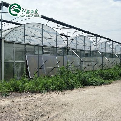 Augmentation de la récolte de pommes de terre Grands tuyaux en plastique Serres agricoles multifonctions