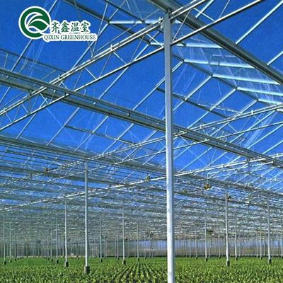 Une bonne perméabilité à la lumière est essentielle pour les serres en verre de Venlo dans l'industrie agricole