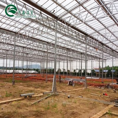 Une bonne perméabilité à la lumière est essentielle pour les serres en verre de Venlo dans l'industrie agricole
