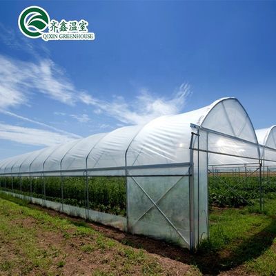 Petites serres de jardin à double couche et boîte de commande automatique