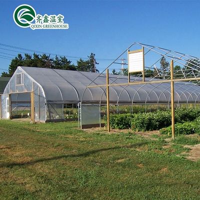Petites serres de jardin à double couche et boîte de commande automatique