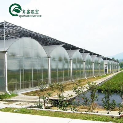 Système de culture hydroponique aquaponique en serre avec options de refroidissement et de ventilation
