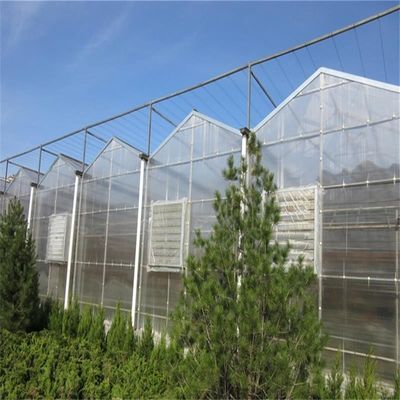 Grande serre en verre Venlo parfaitement adaptée aux besoins de croissance des plantes