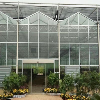 Grande serre en verre Venlo parfaitement adaptée aux besoins de croissance des plantes