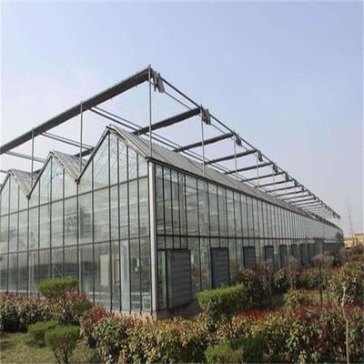 Grande serre en verre Venlo parfaitement adaptée aux besoins de croissance des plantes