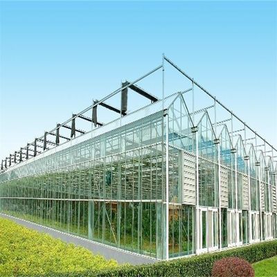 Grande serre en verre Venlo parfaitement adaptée aux besoins de croissance des plantes