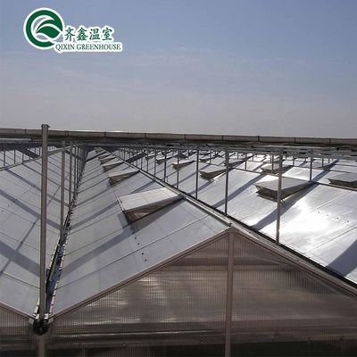 3Serre solaire en verre de hauteur de crête de 0,8 m à 9,8 m pour les besoins du client