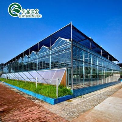 Grandes serres de jardin couvertes de verre pour des options de plantation polyvalentes