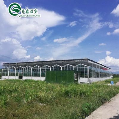 Grandes serres de jardin couvertes de verre pour des options de plantation polyvalentes