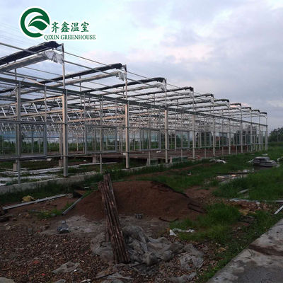 Grandes serres de jardin couvertes de verre pour des options de plantation polyvalentes