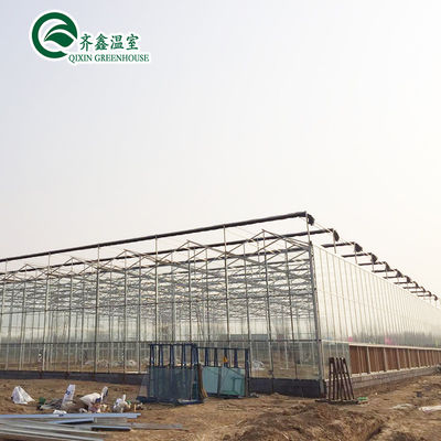 Grandes serres de jardin couvertes de verre pour des options de plantation polyvalentes