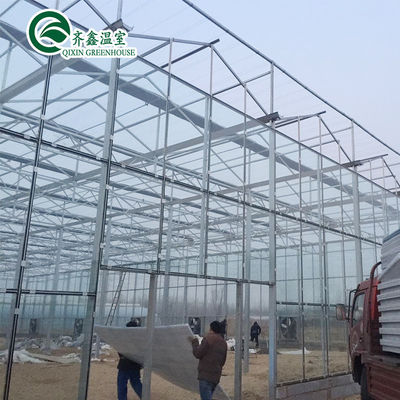 Grandes serres de jardin couvertes de verre pour des options de plantation polyvalentes