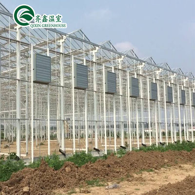 Grandes serres de jardin couvertes de verre pour des options de plantation polyvalentes