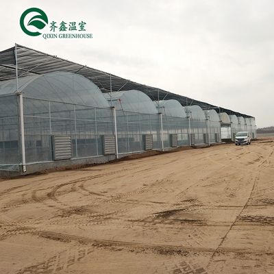 Serre en polytunnel recouverte de film plastique avec système hydroponique et ventilation