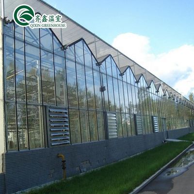 Tunnel de jardin de serre sur mesure avec feuille de verre ou de PC