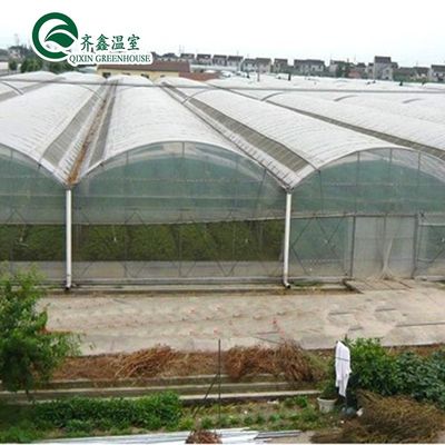 Serre en polytunnel recouverte de film plastique avec système hydroponique et ventilation
