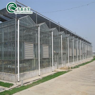Serre à tubes en acier galvanisé avec jardin de tour et système d'ombrage optimal