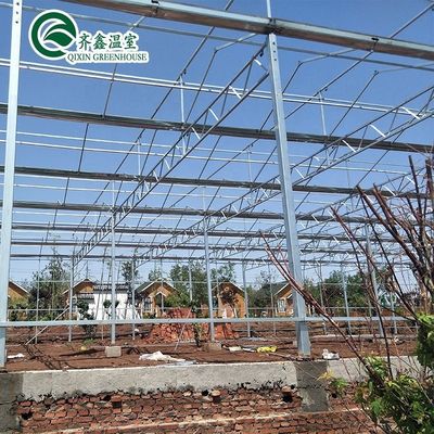 Serre à tubes en acier galvanisé avec jardin de tour et système d'ombrage optimal
