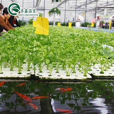 Serre à tubes en acier galvanisé avec jardin de tour et système d'ombrage optimal